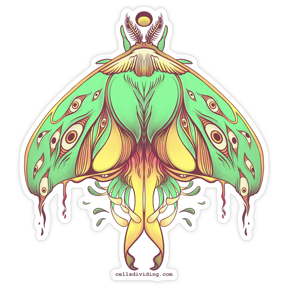 Luna Moth, Vinyl Sticker